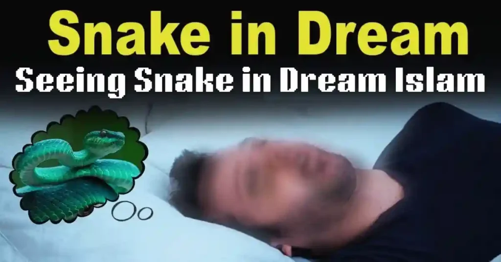 Seeing Snake in Dream Islam